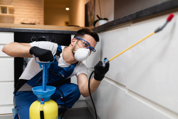 Best Affordable Pest Control Services  in Shreveport, LA