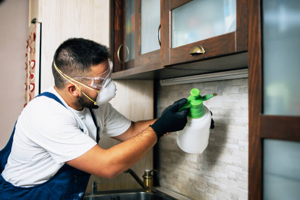 Best Pest Control for Homes  in Shreveport, LA