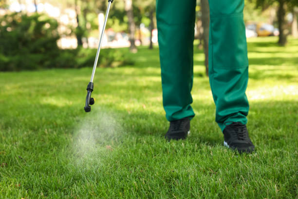Best Affordable Exterminators  in Shreveport, LA