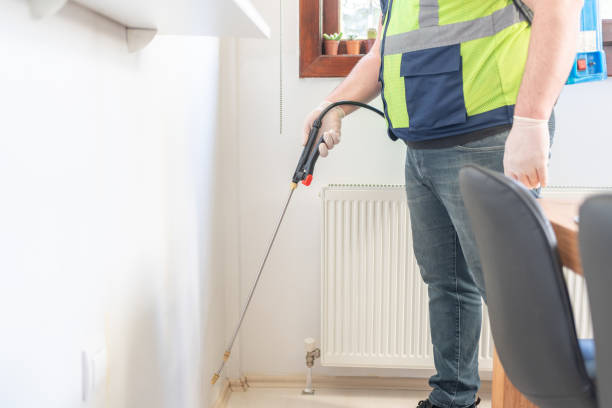Best Flea Control Services  in Shreveport, LA