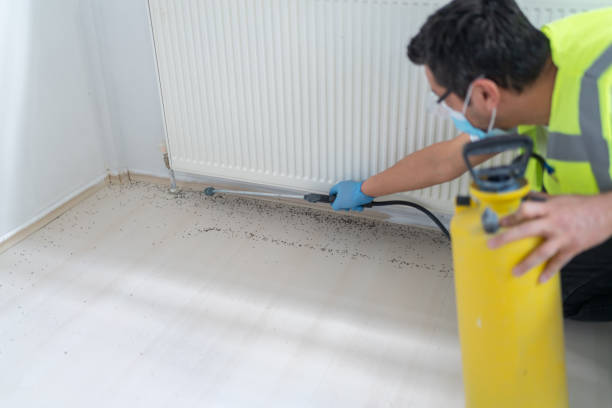 Best Best Pest Control Companies  in Shreveport, LA