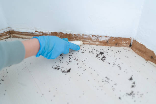 Professional Pest Control in Shreveport, LA