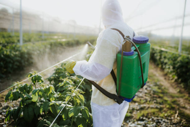 Best Residential Pest Control  in Shreveport, LA